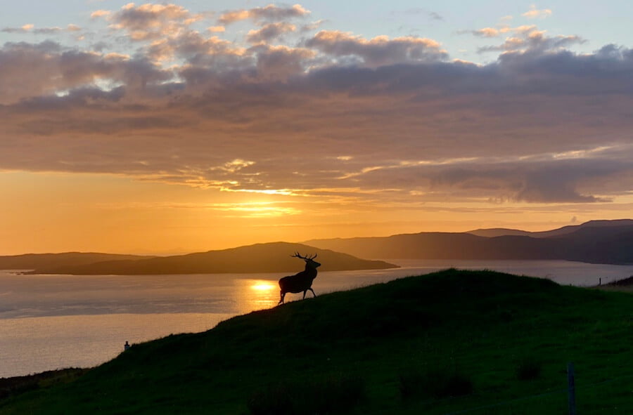 best explainer videos 1