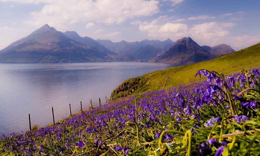 best explainer videos